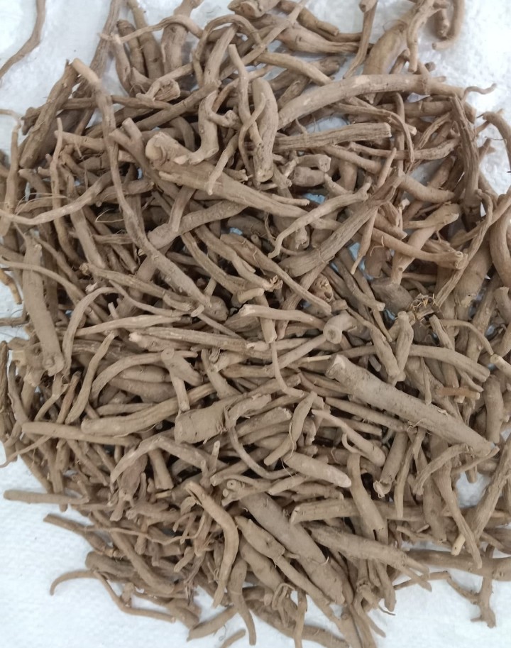 Delicate Organic Moringa Flowers (Dried)